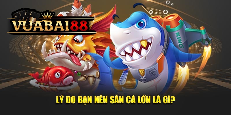 Chiến Thuật Săn Cá Lớn Nhanh Nhất, Nhận Quà Khủng Tại Vuabai88 2 Lý do bạn nên săn cá lớn là gì?
