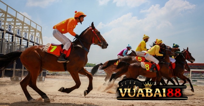 Đua Ngựa Và Những Loại Cược Trực Tuyến Hot Hit Nhất 4 Quy định trả thưởng khi tham gia đua ngựa
