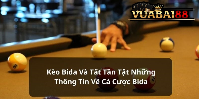 Kèo Bida Và Tất Tần Tật Những Thông Tin Về Cá Cược Bida 2 Kèo Bida Vuabai88