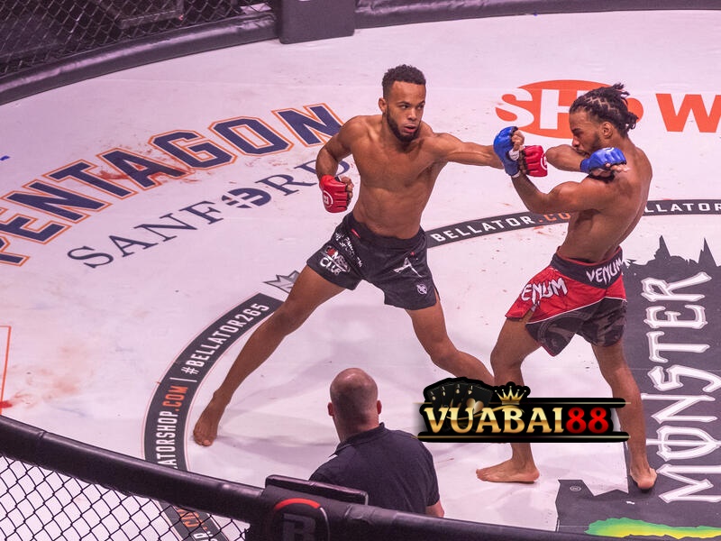 MMA Và Những Điều Cược Thủ Cần Nắm Trước Khi Cược 2 MMA (Mixed Martial Arts) – hay còn gọi là võ thuật tổng hợp