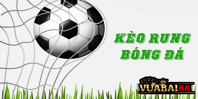 Kèo Rung Là Gì? Bí Kíp Nắm Chắc Kèo Rung Trong Tầm Tay 3 Khái niệm kèo rung là gì?