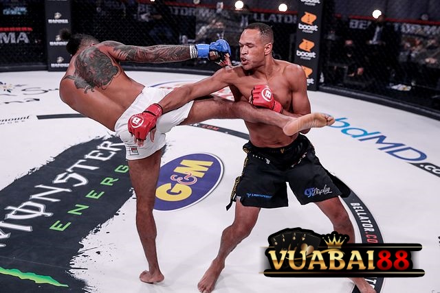 MMA Và Những Điều Cược Thủ Cần Nắm Trước Khi Cược 3 Những kèo cược MMA thường gặp