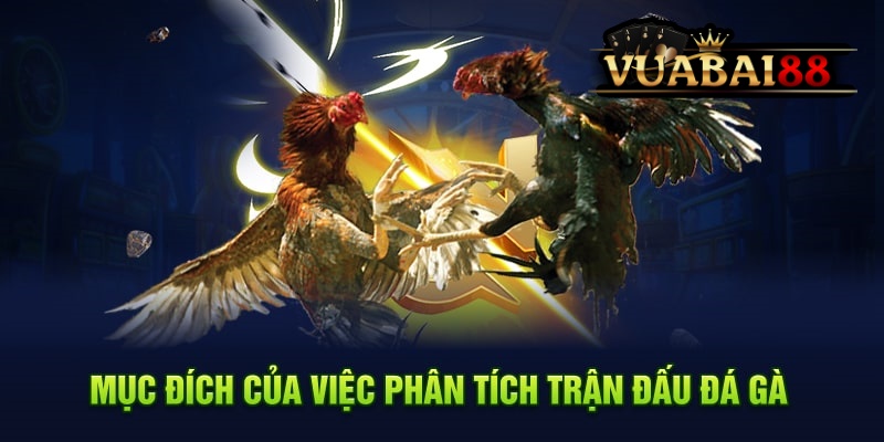 Cập Nhật Thủ Thuật Phân Tích Trận Đấu Đá Gà Hiệu Quả Tại VUABAI88 2 Phân tích trận đấu đá gà hiệu quả VUABAI88