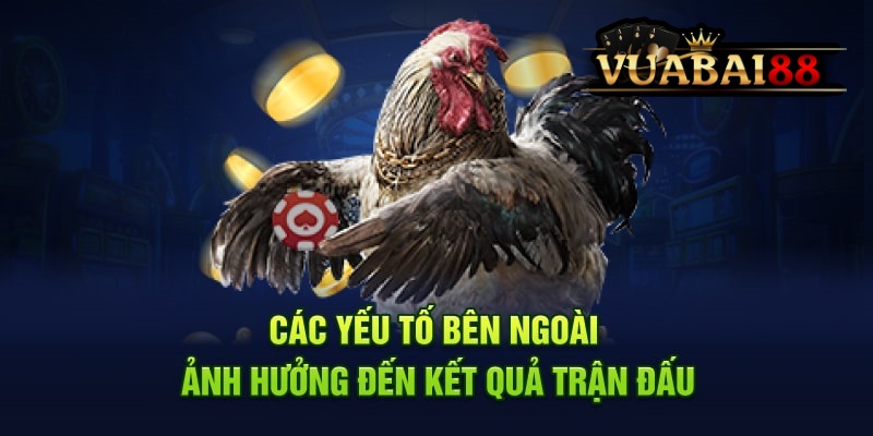 Cập Nhật Thủ Thuật Phân Tích Trận Đấu Đá Gà Hiệu Quả Tại VUABAI88 4 Các yếu tố cần phân tích trong trận đấu đá gà