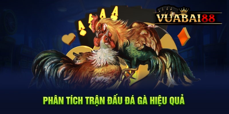 Cập Nhật Thủ Thuật Phân Tích Trận Đấu Đá Gà Hiệu Quả Tại VUABAI88 5 Yếu tố bên ngoài ảnh hưởng đến kết quả